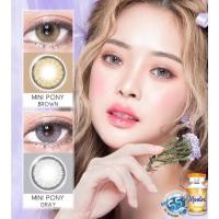 ราคา คอนแทคเลนส์ มินิ Mini Pony Brown Gray Montra ลายฮิต ขายดีมาก กรองแสงกันยูวี (25809269375)