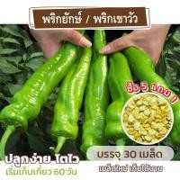ราคา เมล็ดพันธุ์ พริกยักษ์ พริกเขาวัว แบ่งขาย 30 เมล็ด ซื้อ 5 แถม 1 คละชนิดได้ (18986944659)