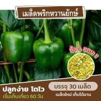 ราคา เมล็ดพันธุ์ พริกหวานยักษ์ แบ่งขาย 30 เมล็ด ซื้อ 5 แถม 1 (24051541001)