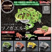 ราคา เพิ่ม3สีพร้อมส่ง กาชาปองกบตาหนาม Gashapon Bandai Premium Ikimono Encyclopedia Horned Frog โมเดลสัตว์ (19566160786)
