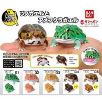 ราคา มีของพร้อมส่ง กาชาปองกบตาหนามกบฝนทะเลทราย Gashapon Bandai Ikimono Encyclopedia Horned Frog Common Rain Frog Mini (18298999614)