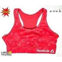 ราคา สปอตบราคนอ้วนไซส์ใหญ่ (16795293136)