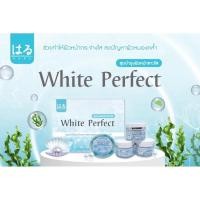 ราคา กล่องใหม่ Haru ครีมชุดบำรุงหน้าขาวใส ฮารุครีมชุดสีฟ้า (25861137463)