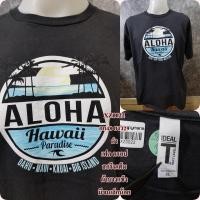 ราคา เสื้อยืดมือสองsizeใหญ่ XL ลายสวย (20789906505)