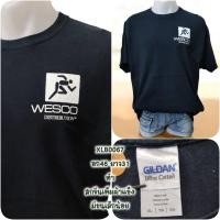 ราคา เสื้อยืดมือสองsizeใหญ่XL B (19482475468)