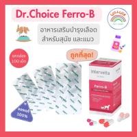 ราคา Dr Choice Ferro B อาหารเสริมบำรุงเลือดสำหรับสุนัขและแมว ยกกล่อง 100 เม็ด 10 แผง x 10 เม็ด (21783060568)