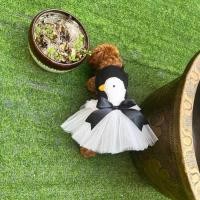ราคา Silly Goose กระโปรงสัตว์เลี้ยง Big Dog Samo Corgi Cat Fluffy Dress Teddy Schnauzer Husky กระโปรง (27853490882)