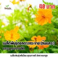ราคา เมล็ดพันธุ์ ดอกดาวกระจายสีส้มเหลือง ต้นแคระ บรรจุ 1 000 เมล็ด Seeds Garden Fresh (23964491001)