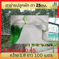 ราคา ตาข่ายปลูกผักไม้เลื้อย 1 8x100 ค้างผัก ตาข่ายแตง ค้างแตง อวนมะระ อวนแตง สำหรับไม้เลื้อย ตาข่ายปลูกแตงกวา (27304979731)