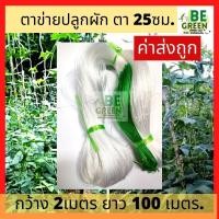 ราคา ค้างปลูกผัก ค้างผัก 2x100 ตาข่ายปลูกผัก อวนแตง ตาข่ายแตง ตาข่ายไม้เลื้อย อวนมะระ ตาข่ายปลูกแตง ปลูกผักเลื้อย ตะข่าย อวน (24383325036)