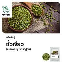 ราคา เมล็ดพันธุ์ถั่วงอก ถั่วเขียว 150 เมล็ด เมล็ดพันธุ์ใหม่ คัดพิเศษ มาตราฐาน (22362023472)