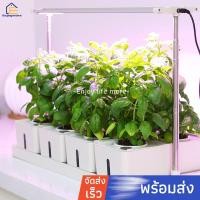 ราคา Enjoymore เครื่องปลูกผักระบบไฮโดรโปรนิกส์อัจฉริยะ ครื่องปลูกผัก พร้อมไฟ LED เครื่องปลูกผักไฮโดรโปนิกส์ (11305534263)
