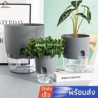 ราคา Enjoy more กระถาง แบบใส กระถางต้นไม้2ชั้น เก็บ น้ำ ได้ รด น้ำ อัตโนมัติ (6313088035)