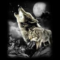 ราคา เสื้อยืด Wolf Wilderness Wolves Howling At The Moon Animal Lovers (28607182895)