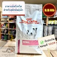 ราคา Royal Canin Small Dog Renal 3 5KG อาหารเม็ดสุนัขพันธุ์เล็กโรคไต (24061898057)