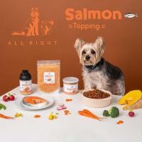 ราคา ALL RIGHT ผงโรยข้าวสำหรับสัตว์เลี้ยง Salmon 100 ผงโรยอาหารเม็ด ผงโรยอาหารสุนัขและแมว แก้เบื่ออาหาร (23884229194)
