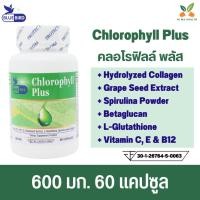 ราคา คลอโรฟิลด์ คลอโรฟิลล์ พลัส Chlorophyll Plus ตรา บลูเบิร์ด 600mg 60cps (27602401861)