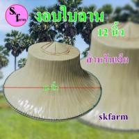 ราคา งอบ งอบไทย งอบโบราณ งอบชาวนา งอบใบลาน งอบเด็ก หมวกเด็ก หมวกงอบใบลานสำหรับเด็กขนาด12นิ้ว งอบ หมวกชาวนา หมวกใบลาน (21119990962)
