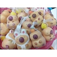 ราคา สกุชชี่ขายยกโหล12ตัว เลือกลายในตัวเลือกจ้า (27106883119)