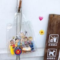 ราคา กระเป๋าน้องสนูปปี้และผองเพื่อน (4736186441)