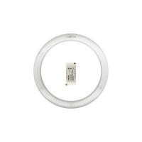 ราคา หลอด LED CIRCULARSET MULTICOLOR 24W LAMPTAN LAMPTAN LED CIRCULARSET MULTI หลอดไฟ LED หลอดไฟ โคมไฟส่องสว่างและพัดลมเพ (7605467068)