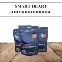 ราคา สมาร์ทฮาร์ท อาหารสำหรับนกกางเขนดงหรือนกบินหลา และนกกินแมลงทุกชนิด 100 กรัม (19482760726)