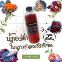 ราคา น้ำหมักใบหูกวางและสีเสียด 500 ml สูตรเข้มข้น สำหรับปลากัด ปลาทอง ทุกสายพันธุ์ (29109014105)