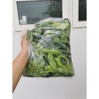 ราคา ใบมะกรูดล้วน เก็บสด100กรัม ออแกนิก organic ไร้สารเคมี ปลอดภัยกับผู้บริโภค ใส่ มาม่า ต้มยำกุ้ง มะนาว ตะไคร้ ข่า หอมแดง (9227481424)