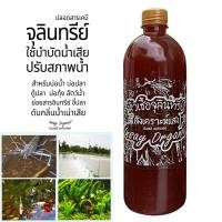 ราคา INSAY ORGANIC จุลินทรีย์ ใช้บำบัดน้ำ ดับกลิ่น ปรับสภาพน้ำ ย่อยสลาย สำหรับเลี้ยงปลา กุ้ง (28052408434)