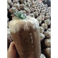 ราคา ก้อนเชื้อเห็ดเยื่อไผ่ 1ก้อน 70 เชื้อเดินเต็ม สายพันธ์ไทย (13671456808)