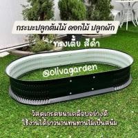 ราคา กระบะปลูกต้นไม้ แปลงปลูกต้นไม้ ดอกไม้ กระบะปลูกผัก สีดำ แต่งสวนในกระบะปลูก ปลูกผักสวนครัว (26855373461)