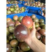 ราคา เสาวรสสด คัดเกรดภูเรือ ส่งตรงจากสวน (24835572312)
