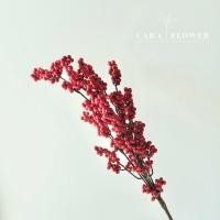 ราคา Berry 5 กิ่งเบอร์รี่ เบอร์รี่ปลอม ดอกไม้ปลอม กิ่งปลอม กิ่งต้นคริสมาส ตกแต่งคริสมาส B19 พร้อมส่ง (24502024959)