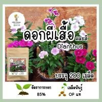 ราคา เมล็ดดอกผีเสื้อ Dianthus คละสี 200เมล็ด ดอกไม้กินได้ เมล็ดพันธุ์OPแท้ (18311933597)