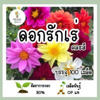 ราคา เมล็ดพันธุ์ ดอกรักเร่คละสี 100เมล็ด (10409694670)