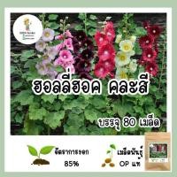 ราคา เมล็ดพันธุ์ ฮอลลี่ฮ็อค คละสี 80เมล็ด (10303008362)