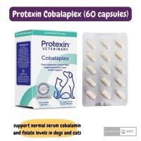 ราคา Cobalaplex for Dogs and Cats 60 capsules Vitamin B12 (29660642378)