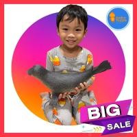 ราคา พร้อมส่ง โมเดลสัตว์ทะเล โมเดลสัตว์น้ำ โมเดลสัตว์ป่า ขนาดใหญ่ Animal World (6493849931)