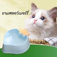 ราคา KTCAT ชามสตอว์เบอร์รี่ ชามอาหารสัตว์เลี้ยง ชามสัตว์เลี้ยง สุนัข หมา แมว ที่ให้อาหารและน้ำ ชามข้าวแมว ชามข้าวสุนัข (21443980226)