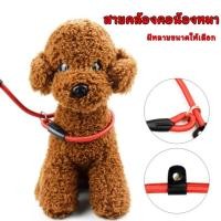 ราคา KTCAT สายจูงสุนัขสายคล้องคอแบบปรับได้ เชือกฝึกสุนัข สายจูง เชือกจูงสุนัข สายจูงสุนัข สายจูงหมา เชือกล่ามหมา (17093184774)