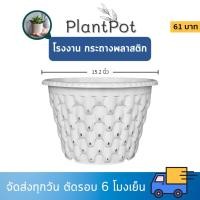 ราคา กระถาง กระถางต้นไม้ กระถางเร่งราก มีขอบ ขนาด 15 นิ้ว สีดำ สีขาว (29910912338)