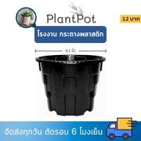 ราคา กระถาง กระถางต้นไม้ กระถางเร่งราก 9 นิ้ว (29310912553)