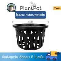 ราคา กระถาง กระถางกล้วยไม้ กระถางแขวน กลม 6 นิ้ว Bundle 50 ใบ (25435740288)