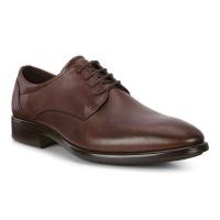 ราคา ECCO รองเท้าทำงานผู้ชายรุ่น CITYTRAY BROWN (20071252810)