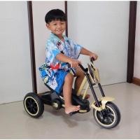 ราคา จักรยานสามล้อปั่น Speed tri wheel Bike (25384068109)