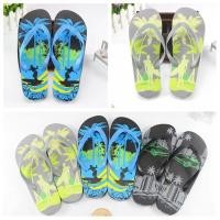 ราคา 2023 สไตล์ใหม่ยุโรปอเมริกัน Flip Flops ผู้ชายมะพร้าวแฟชั่นรองเท้าแตะชายหาด PE ด้านล่าง Flip Flops (20896626702)