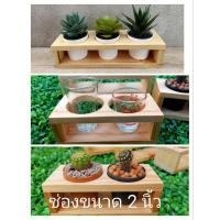 ราคา บล็อคไม้ ขนาด 2 กล่องใส่กระถางต้นไม้ กล่องไม้สน ชั้นวางต้นไม้ กล่องวางแคคตัส บล็อควางแก้วช๊อต เคลือบแลคเกอร์แล้ว (20807432912)