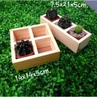 ราคา กล่องไม้สน กระบะไม้ ชั้นวางต้นไม้ กล่องวางแคคตัส กล่องไม้มีช่อง (12075008931)