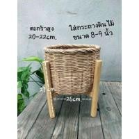 ราคา ขาตั้งกระถางต้นไม้ สำหรับกระถาง 10 ขาตั้งไม้ ทำจากไม้ยางพารา และไม้จามจุรีย์ งานสวยและดี ถอดประกอบได้ (16432828228)