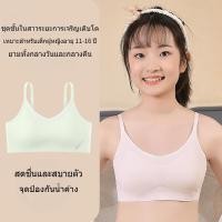 ราคา ชุดชั้นในเด็ก มีให้เลือกในโทนสีผิว ชมพู ขาว ม่วง และเขียว เสื้อในเด็กโตอายุ12 15 วัสดุผ้าไหมน้ำแข็ง นุ่ม สบาย ระบายอากาศ และเย็น ไม่อับ เสื้อในเด็ก sabina เหมาะสำหรับอายุ 10 11 13 14 16 ปี เสื้อชั้นใน